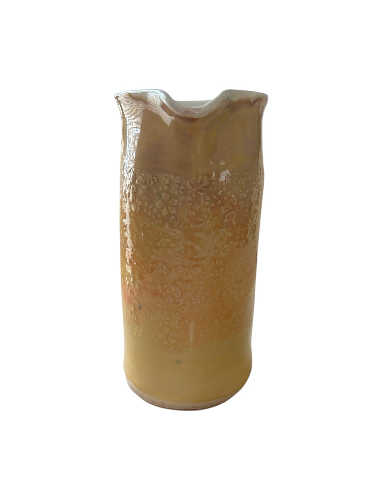 Throated Pitcher #1 in Sunset