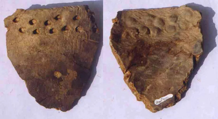 The Oldest Pottery Ever Found (So Far)
