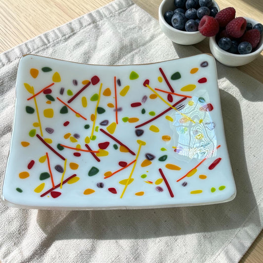 Large Homemade Fused Glass Sushi Bowl with Abstract Autumn Leaves and Branches Design