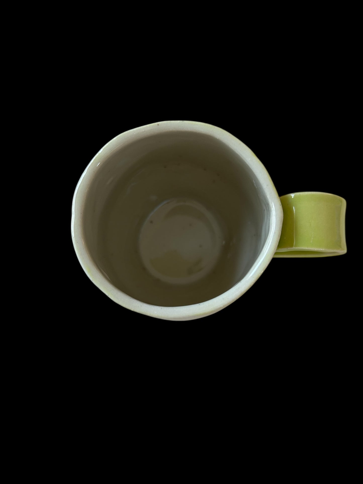 Textured Belly Mug #1 with Birds and Spring Flowers in Pear Green