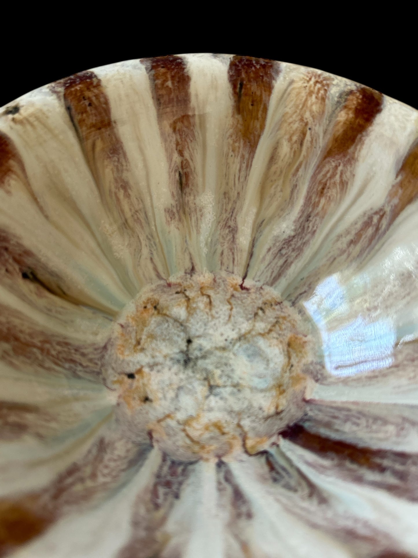 Small General-Purpose Bowl #15 in Southwestern Colors with Desert Sunflower Design