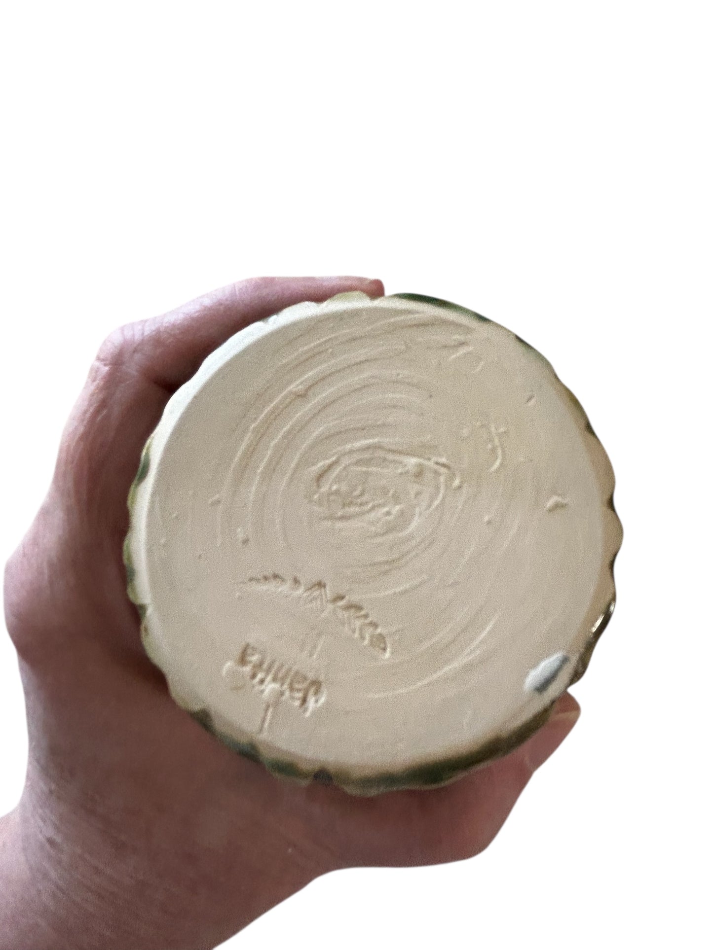 Medium Liquid Soap Dispenser #1 with Natural Cork Pump in Aspen Green