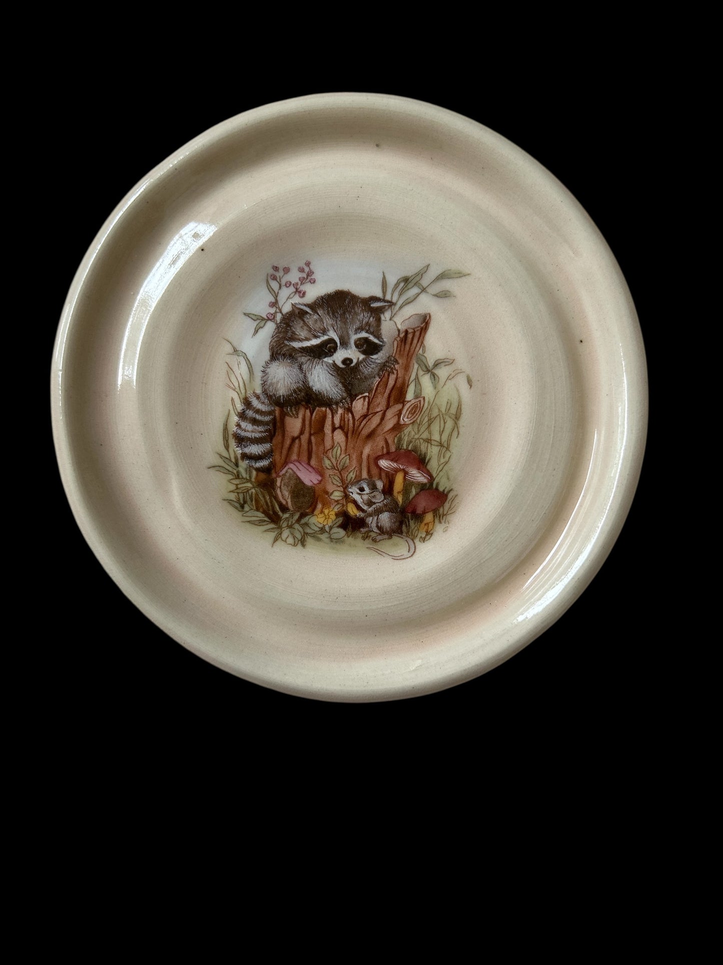Woodland Tea Cup and Saucer #44 with Cute Raccoon, Fall Flowers, and Mushrooms