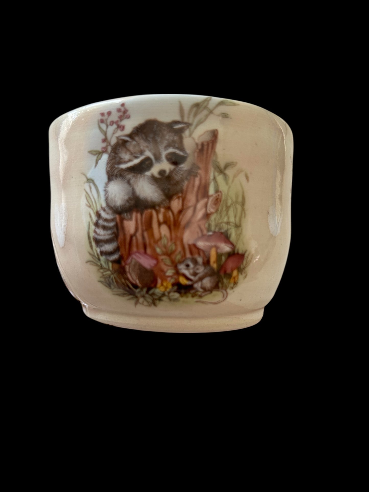 Woodland Tea Cup and Saucer #44 with Cute Raccoon, Fall Flowers, and Mushrooms