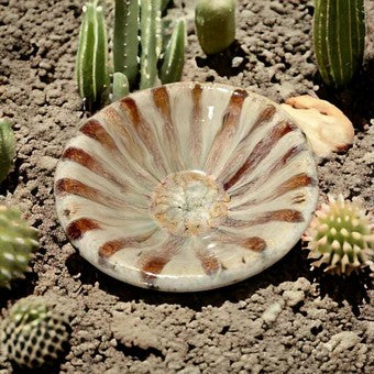 Small Side Bowl #15 in Southwestern Colors with Desert Sunflower Design
