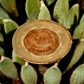 Wheel-Thrown Side Plate #17 in Southwestern Colors of Desert Yellow and Sienna Speckle